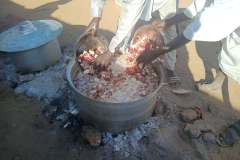 Image-42
