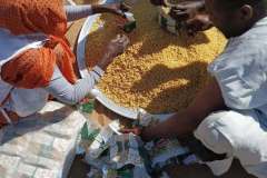 Image-46